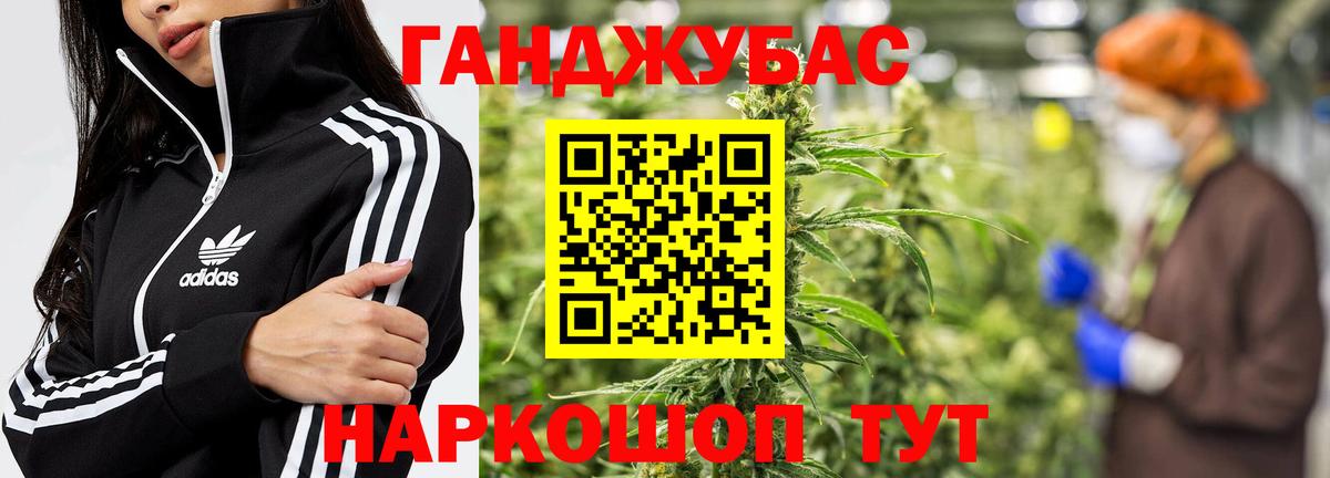 Конопля ГИДРОПОН  Бошки Шишки SATIVA & INDICA  Вход с VPN  Барнаул 